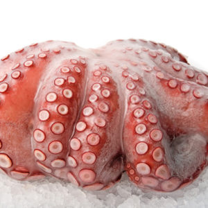 Octopus